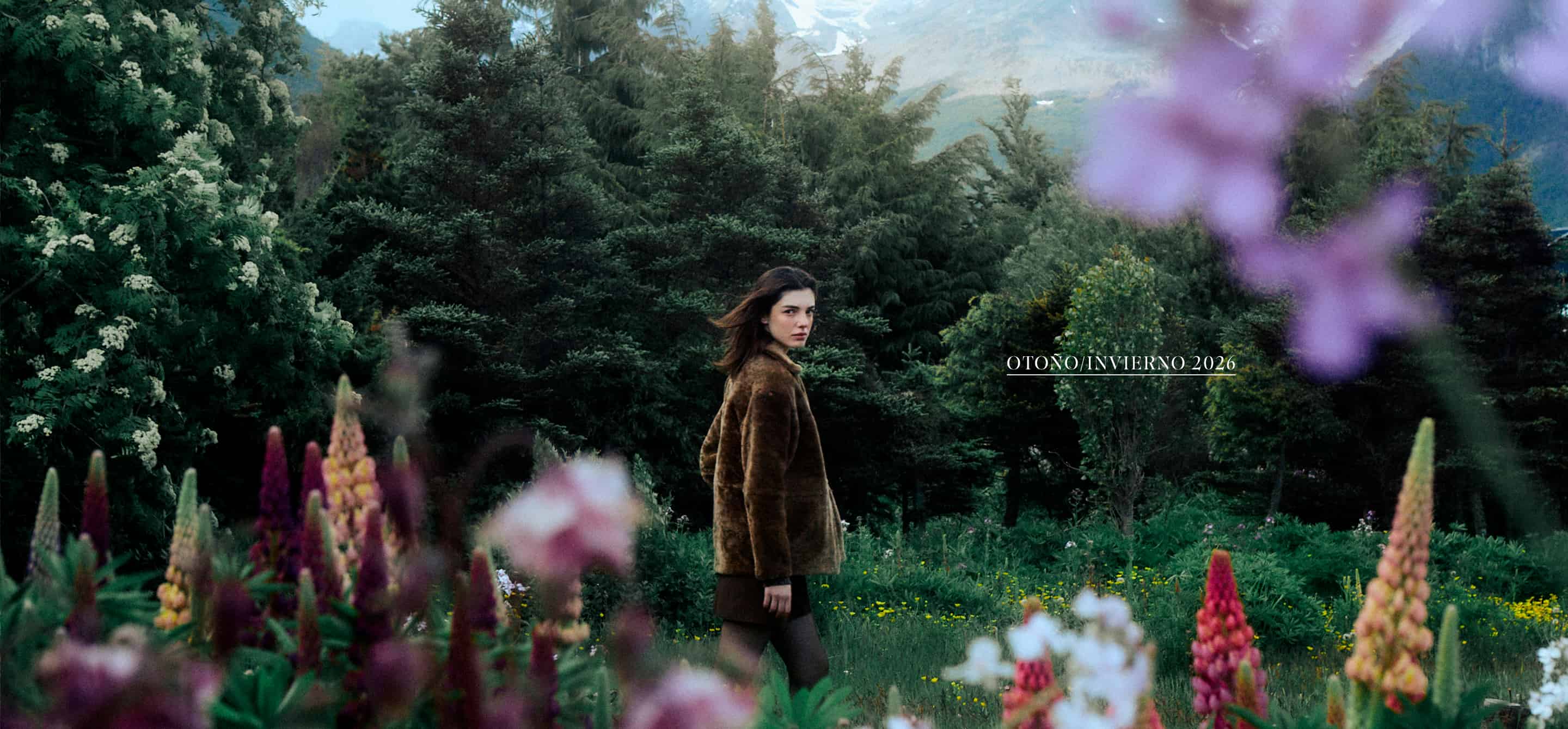 Banner desktop 3 2 1773951627