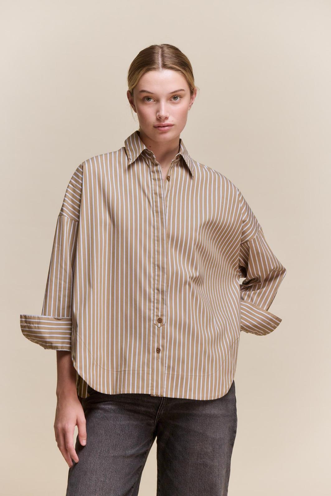 awada_camisa-rayada_33-20-2026__picture-64703