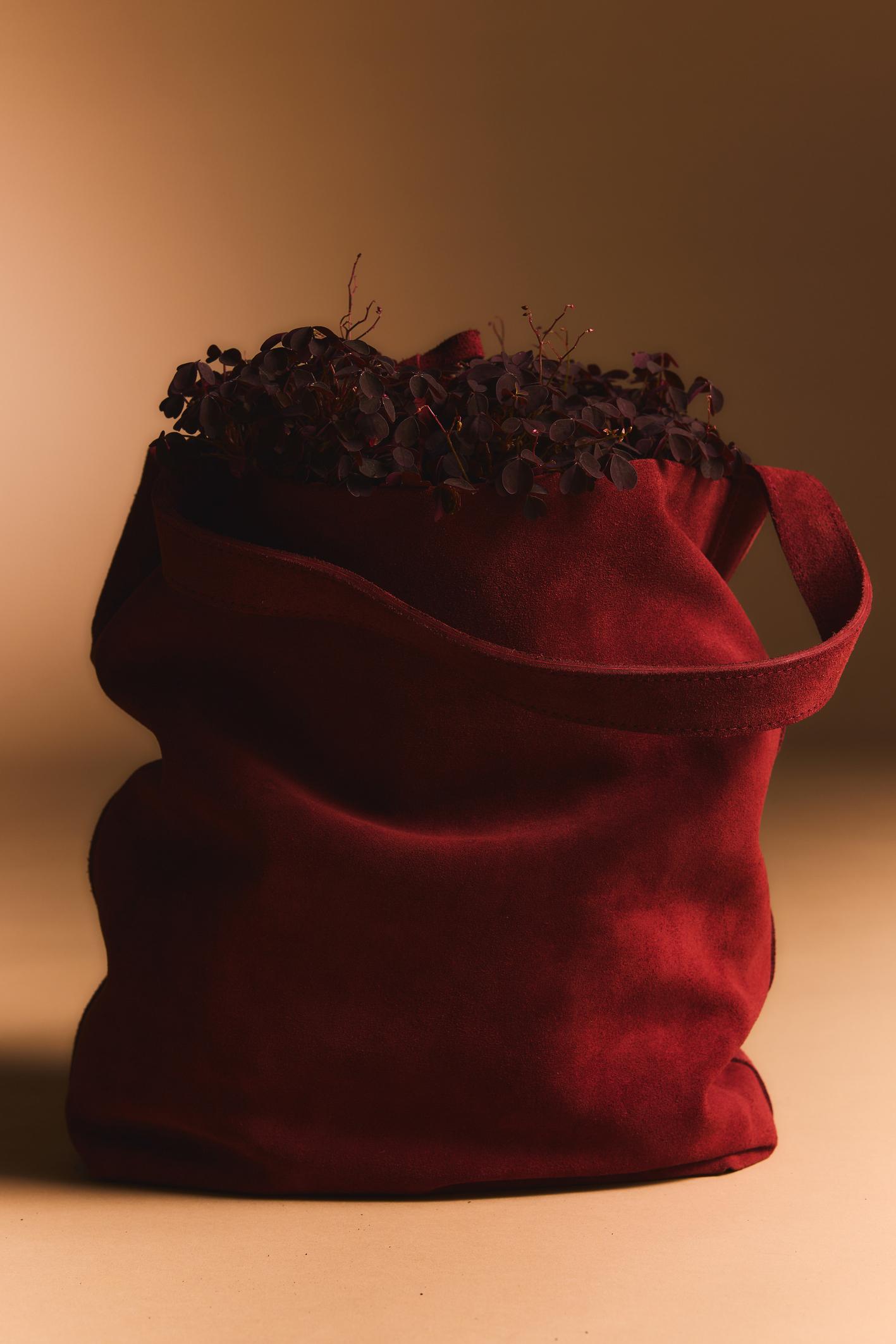 CARTERA CORREA GAMUZA TU