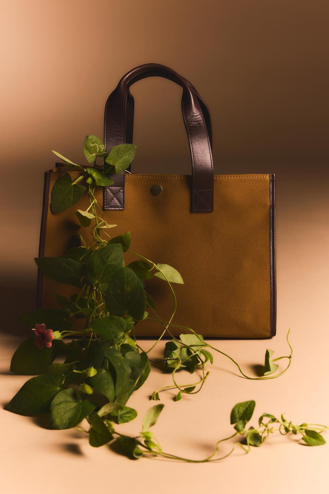 awada_cartera-gabardina_57-09-2026__picture-65403